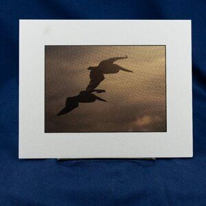 Two Pelicans Art Print, 8x10 Ready to Frame Print
